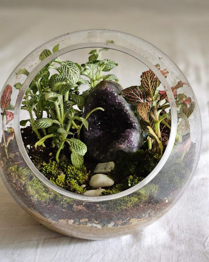 The Terrarium — a closed glass bowl planted with moss and small stones.