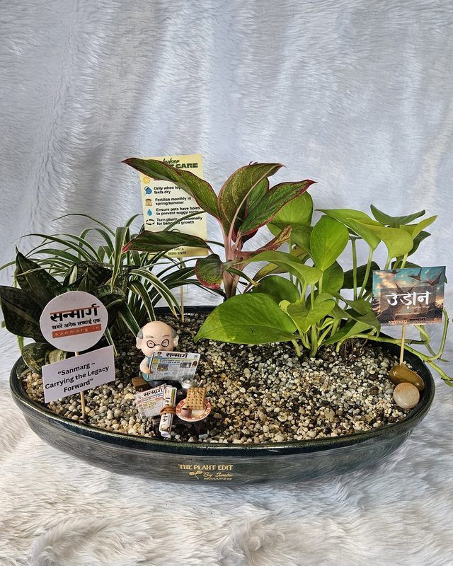 A planted piece made to mark a business milestone.