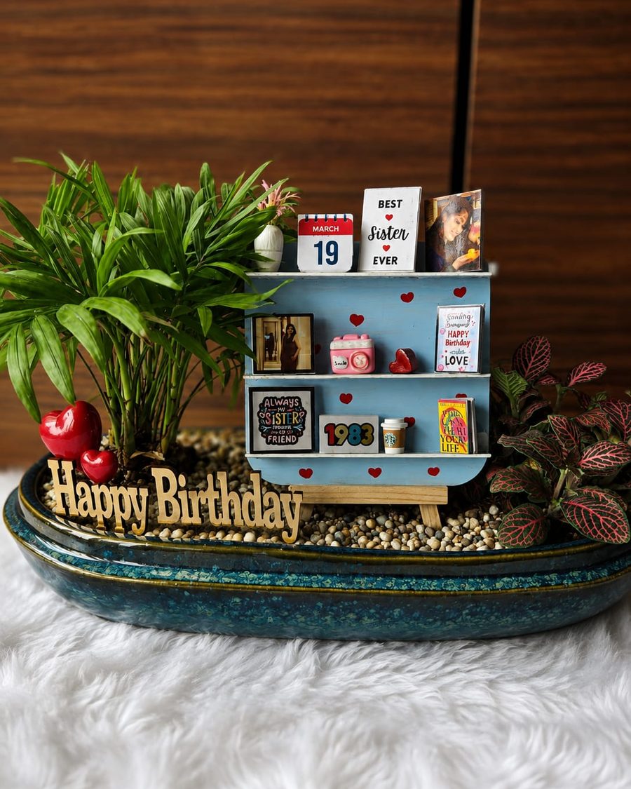 A birthday planter being built, with a personalised display shelf, palm and fittonia set into gravel.