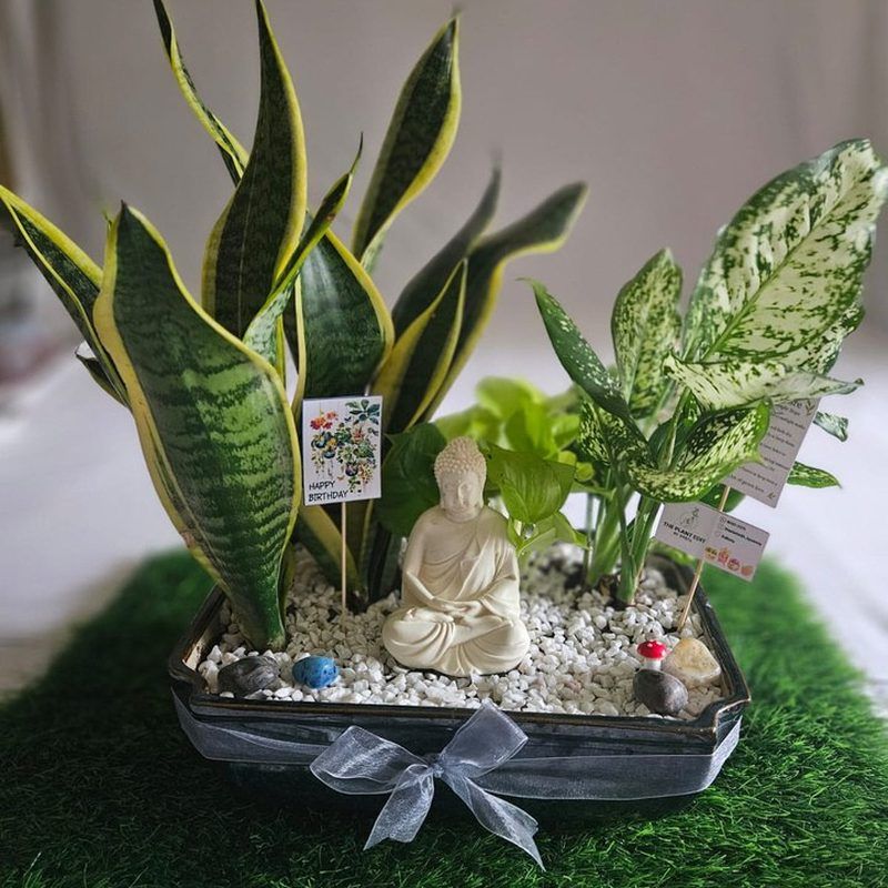 The piece viewed from the front, planting massed to one side.