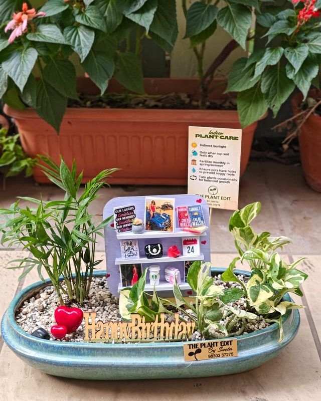 A planted arrangement holding printed photographs and small mementoes.