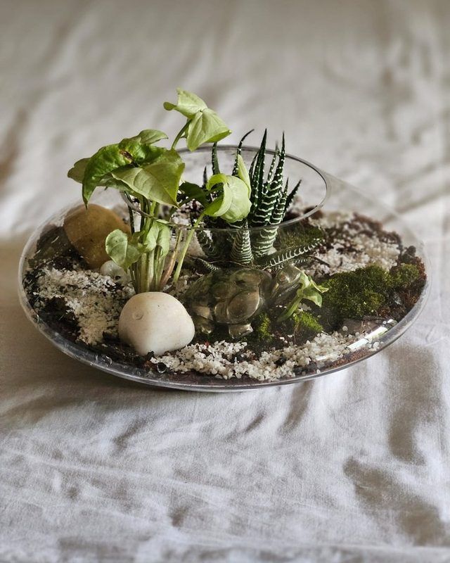 The Terrarium — a closed glass bowl planted with moss and stones.
